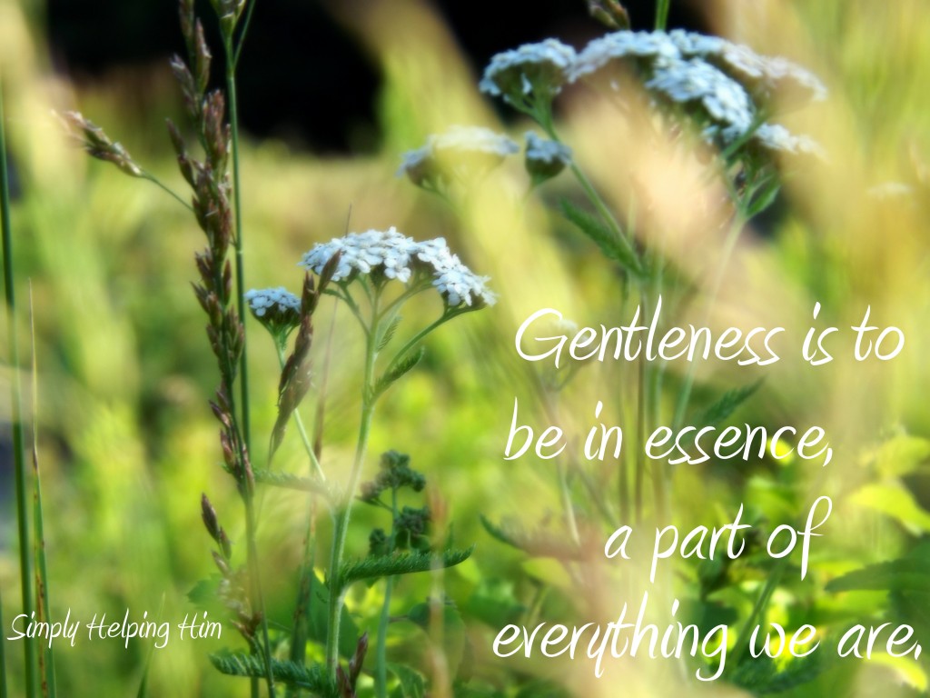 gentleness